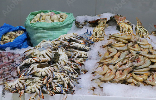 seafood marcket stall in middle east photo