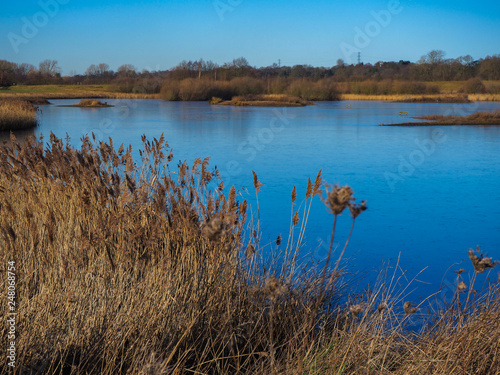 Reeds and lake at St Aidan's Nature Park, Yorkshire, England, on a beautiful winter day photo