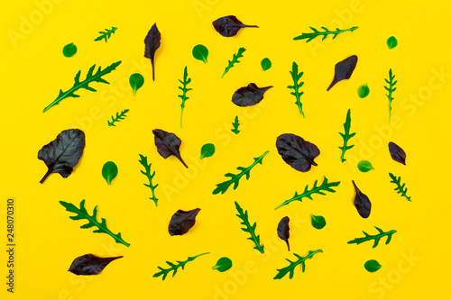 Pattern with salad leaves. Red beet Morello  arugula isolated on yellow background. Vegetable mix Flat lay. Healthy vegetarian food