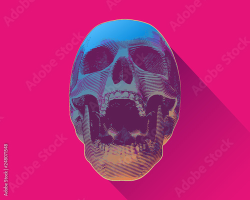 Screaming skull with light and shadow on colorful BG