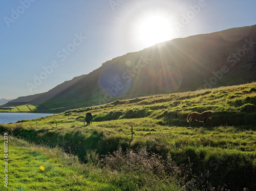  Lake Myvatn Iceland.Dimmuborgir National Park photo