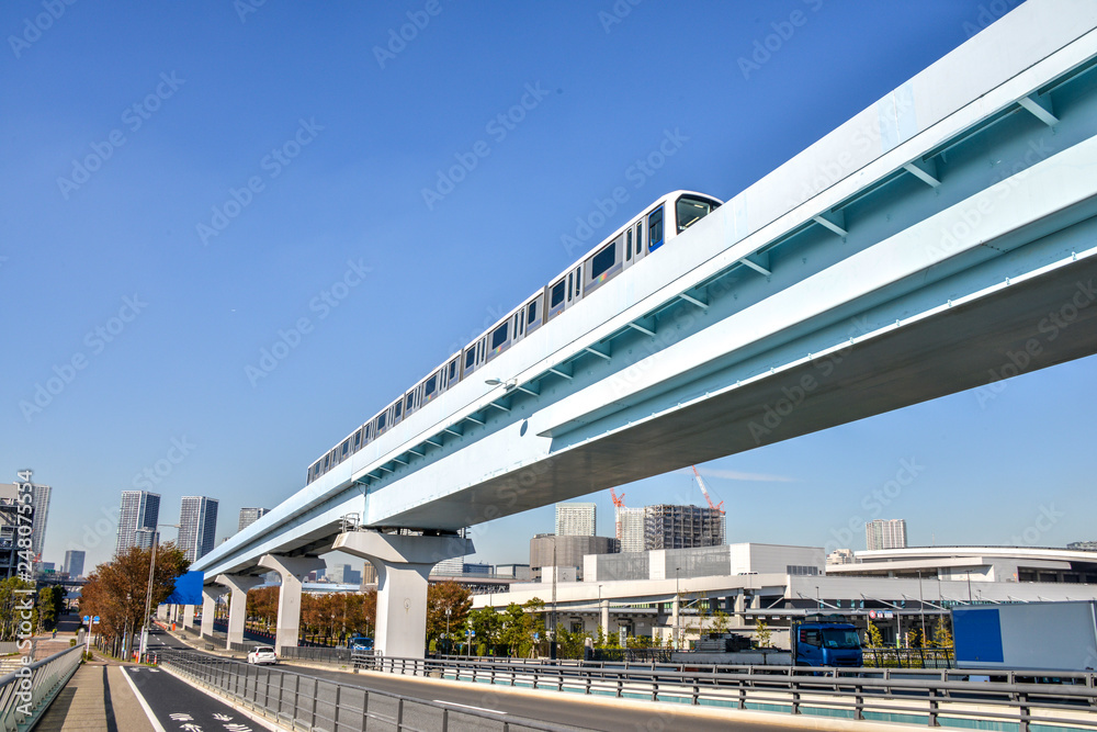 Fototapeta premium ゆりかもめ