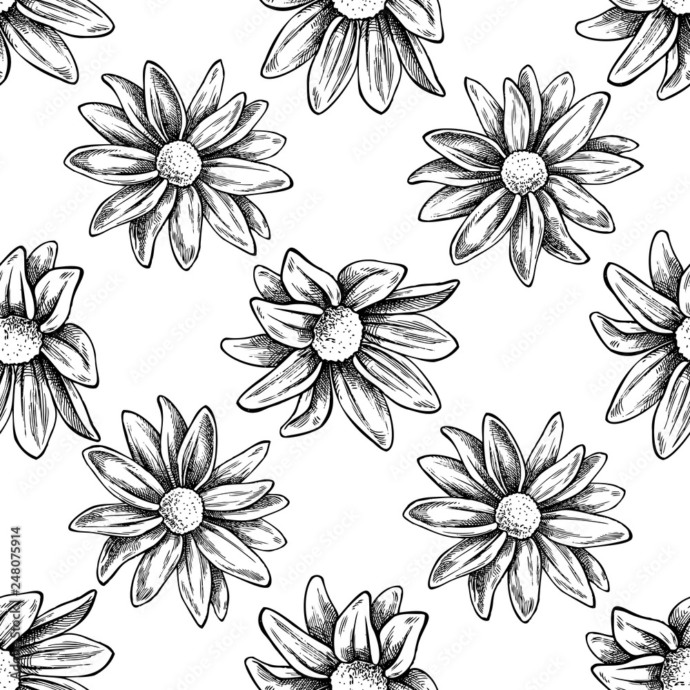Seamless pattern with black and white chrysanths, primula