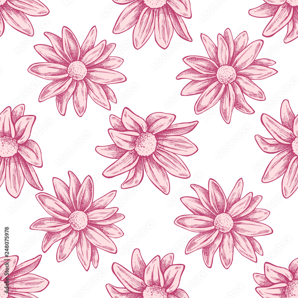 Seamless pattern with hand drawn pastel chrysanths, primula