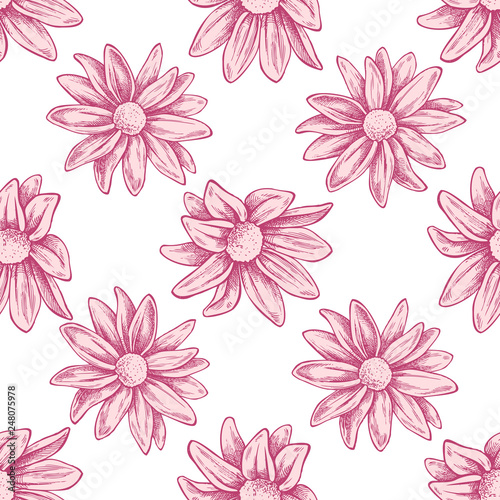 Seamless pattern with hand drawn pastel chrysanths  primula