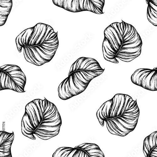Seamless pattern with black and white philodendron, calathea