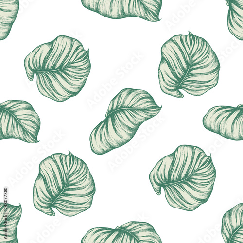 Seamless pattern with hand drawn pastel philodendron, calathea