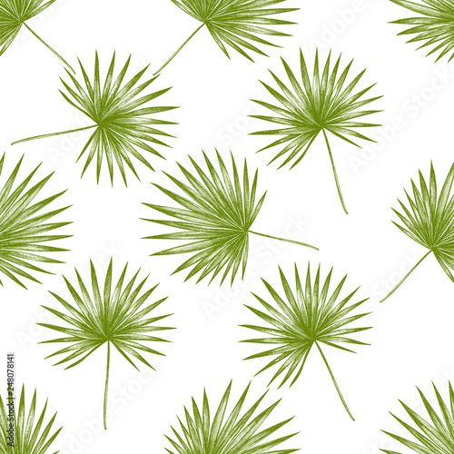 Seamless pattern with hand drawn pastel trachycarpus