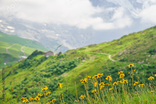 Alpine peaks landskape background. Jungfrau, Bernese highland. Alps, tourism, journey, hiking.