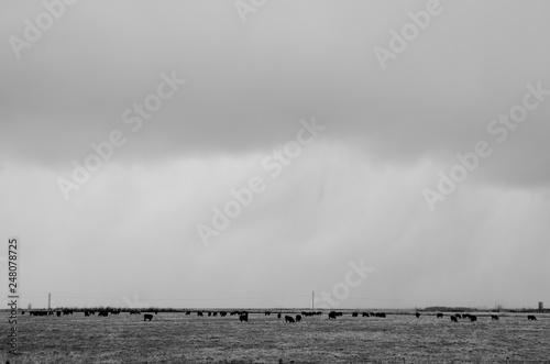 storm in a field,pastures, cow pasture, clound, rain © Rick