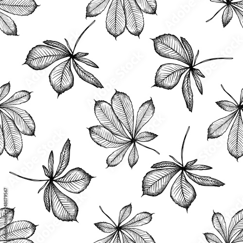 Seamless pattern with black and white buckeye photo