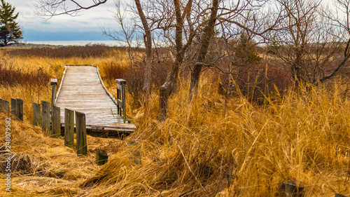 boardwalk over marsh in winter, empty, no people.