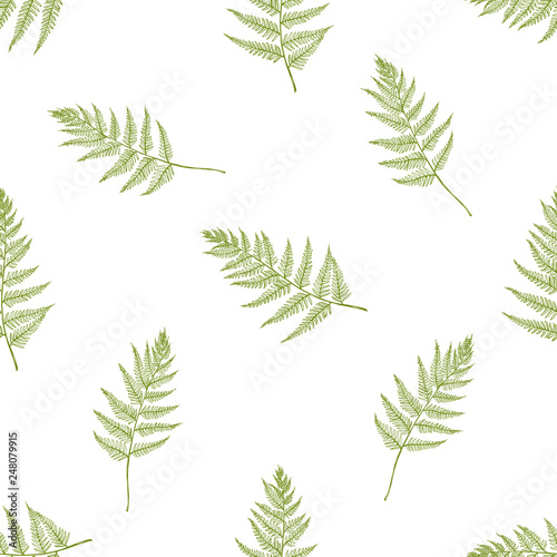 Seamless pattern with hand drawn pastel fern