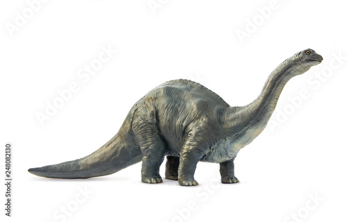 Long necked dinosaur eating plants Brontosaurus in form classic style on white background.