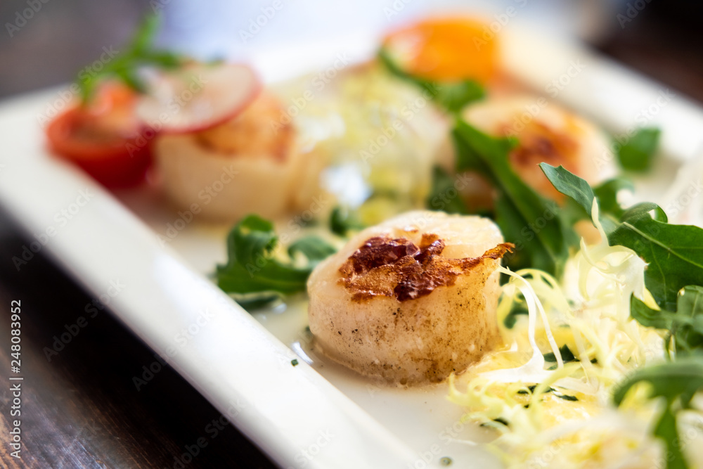 Close-up of grilled seared fresh scallops served as appetizer