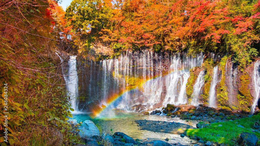 Fototapeta Fujinomiya-Shiraito Falls Arakura Sengen Shrine-Fujiyoshida