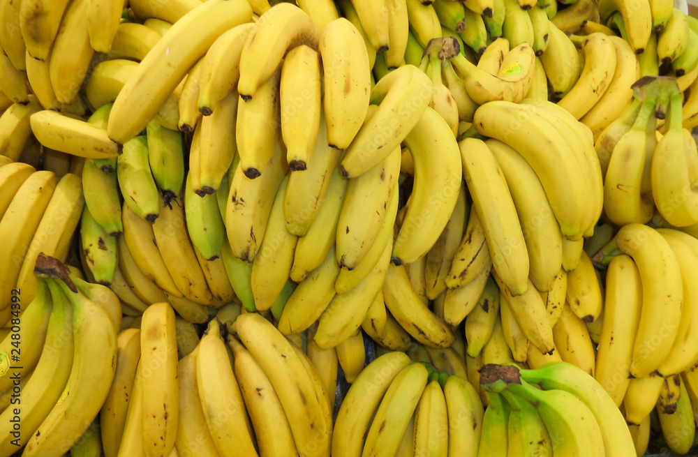 big pile of fresh ripe banana bundles