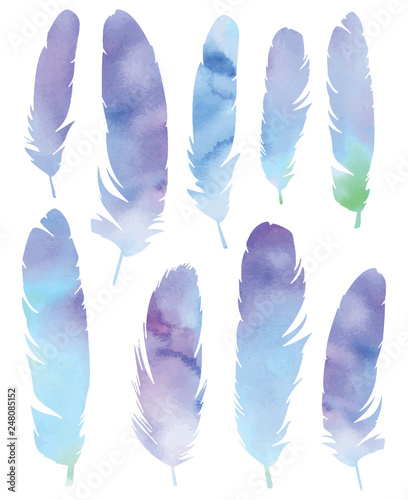 Vector watercolor feathers set © Natalia