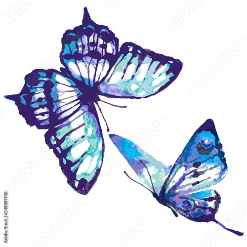 beautiful blue butterfly,watercolor,isolated on a white
