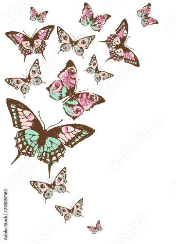 beautiful pink butterflies, isolated on a white