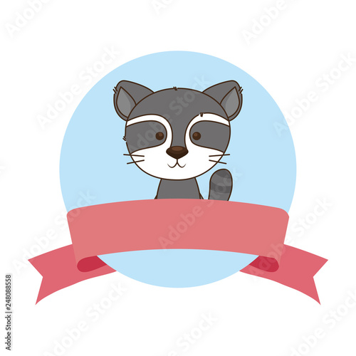 cute little raccoon character