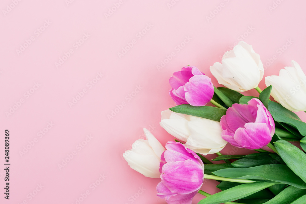 Bouquet made of white and pink flowers on pink background. Spring background. Bouquet made of white and pink flowers on pink background. Spring background.