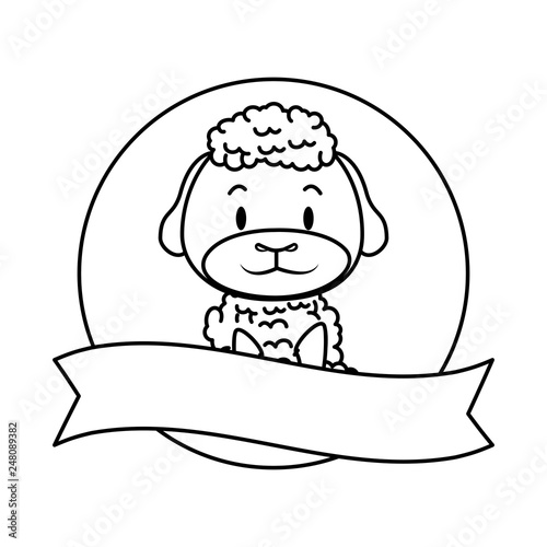cute little sheep character