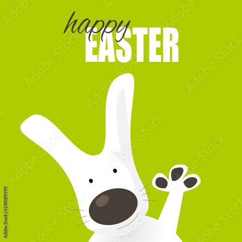 Hase
