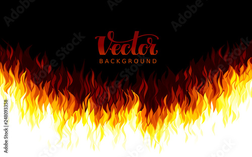 Realistic vector fire flames on black background