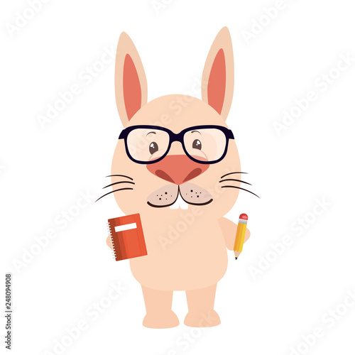 cute little rabbit character