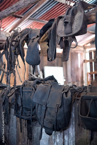 Old leather horse saddles in in rustic tin iron shed, dusty and unused © Cynthia