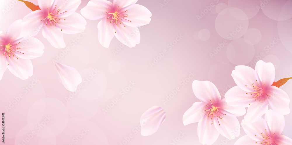 桜　春　花　背景 