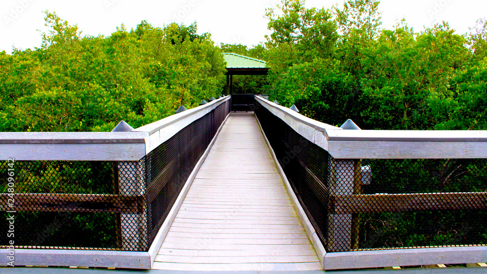 Park wooden boardwalk leading to a gazebo covered area Park wooden boardwalk leading to a gazebo covered area