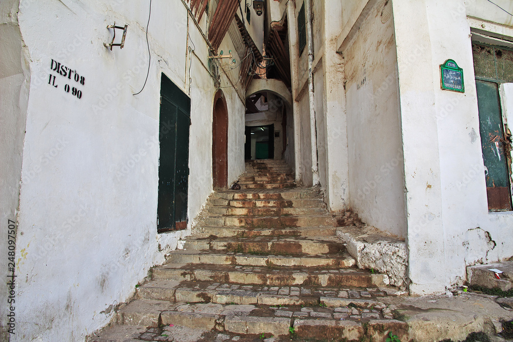 Algeria Algiers algerian