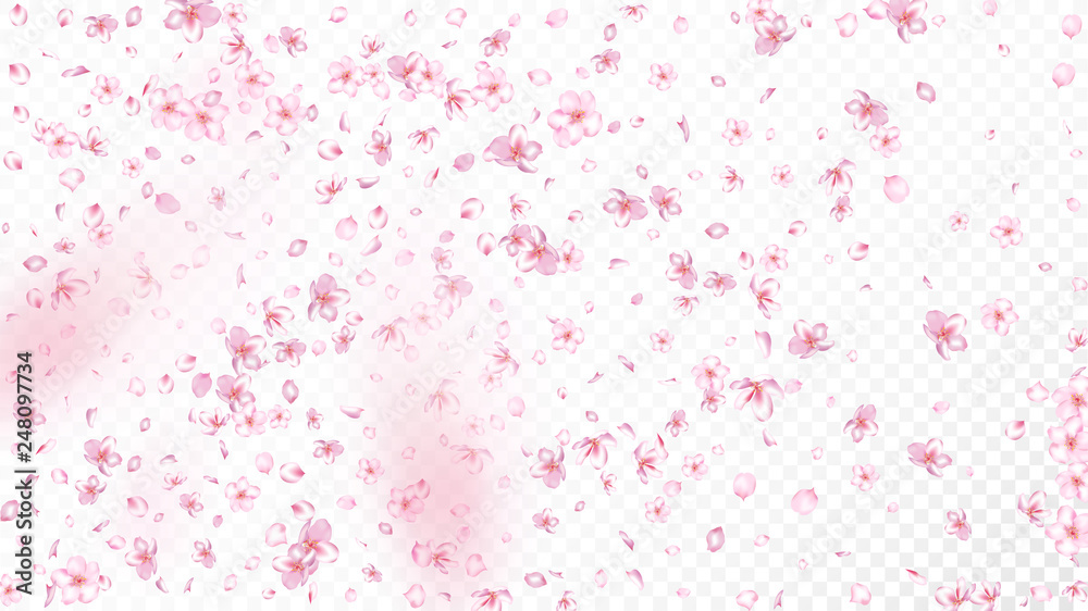 Nice Sakura Blossom Isolated Vector. Tender Blowing 3d Petals Wedding Texture. Japanese Blooming Flowers Wallpaper. Valentine, Mother's Day Spring Nice Sakura Blossom Isolated on White Nice Sakura Blossom Isolated Vector. Tender Blowing 3d Petals Wedding Texture. Japanese Blooming Flowers Wallpaper. Valentine, Mother's Day Spring Nice Sakura Blossom Isolated on White