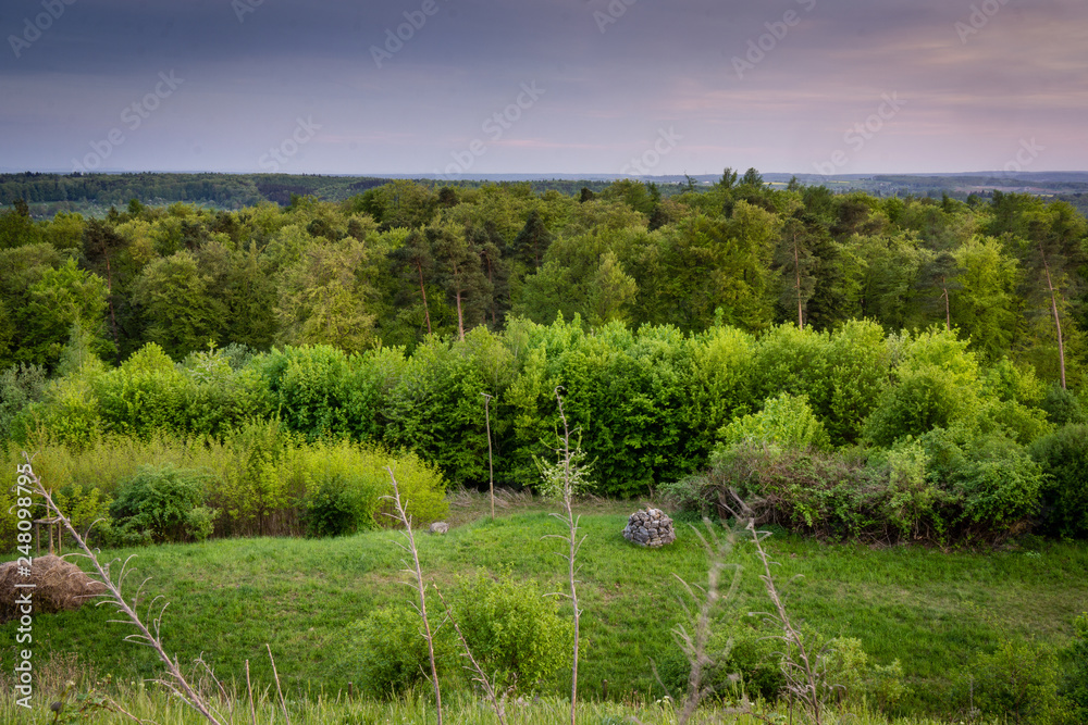 green meadow forest and field with sunset green meadow forest and field with sunset