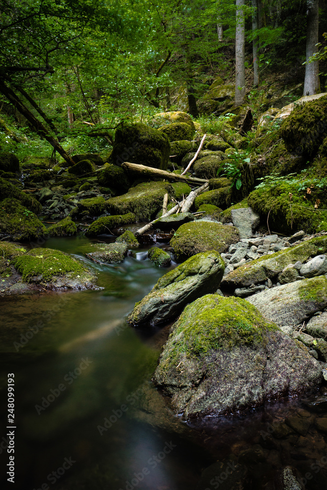 waterfall water stream in black forest waterfall water stream in black forest
