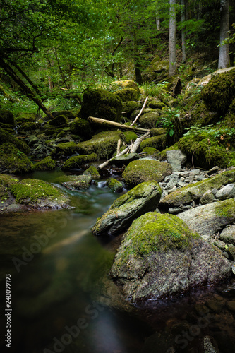 waterfall water stream in black forest © Horner