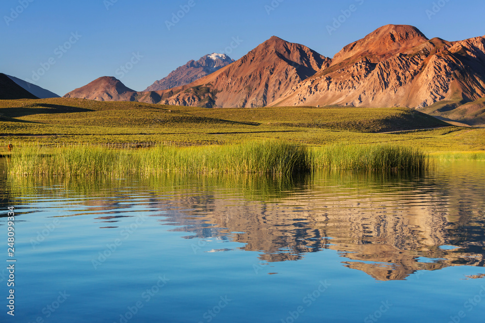 Northern Argentina landscapes