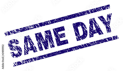SAME DAY seal imprint with distress style. Blue vector rubber print of SAME DAY title with unclean texture. Text title is placed between parallel lines.