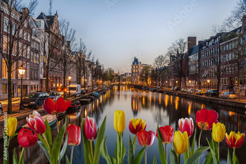 Photography Evening in Amsterdam with tulips