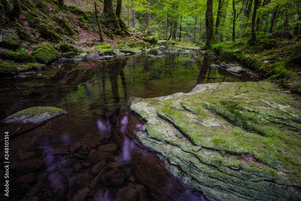 Obraz premium waterfall water stream in black forest