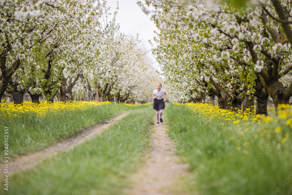 Obraz premium Blonde girl in gray skirt and white shirt playing and running in the cherry blossom garden