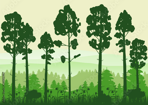 Spring beautiful landscape  forest  silhouettes of tree trunks  green color of foliage. Panorama  horizon  nature. Vector illustration  cartoon style  isolated  banner  template  poster  card