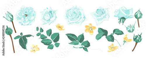 Roses Bouquet For Rustic Wedding Design.