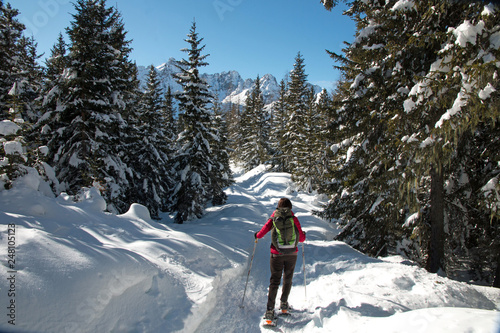 Escursione nel bosco con le ciaspole