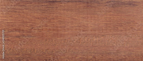 Wood from the tropical rainforest - Suriname - Tabebuia serratifolia Nichols