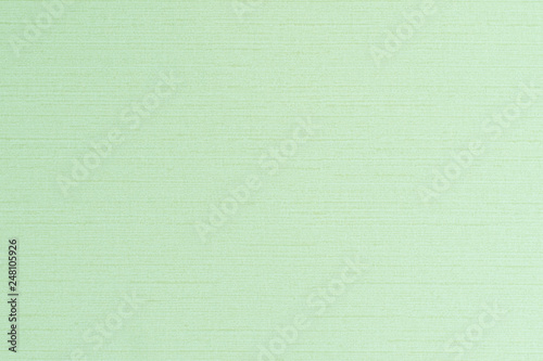 Blended cotton silk fabric textile wallpaper detailed texture pattern background in light yellow lime green color