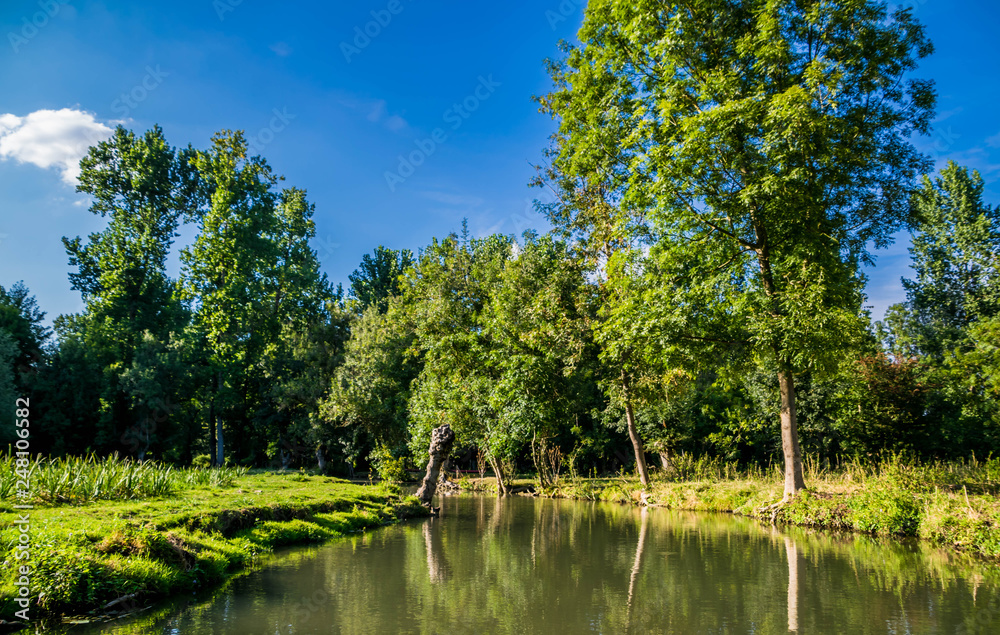 Fototapeta premium Marais Poitevin, Venise verte, Vendée, Deux-Sèvres, Charente-Maritime, Nouvelle-Aquitaine, France.