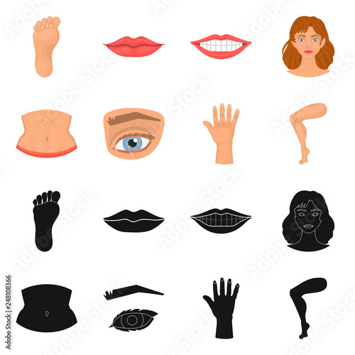 Vector illustration of body and part symbol. Set of body and anatomy stock symbol for web.